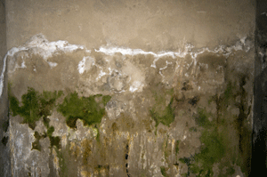 basement-waterproofing-upper-marlboro-300x199 (1).gif