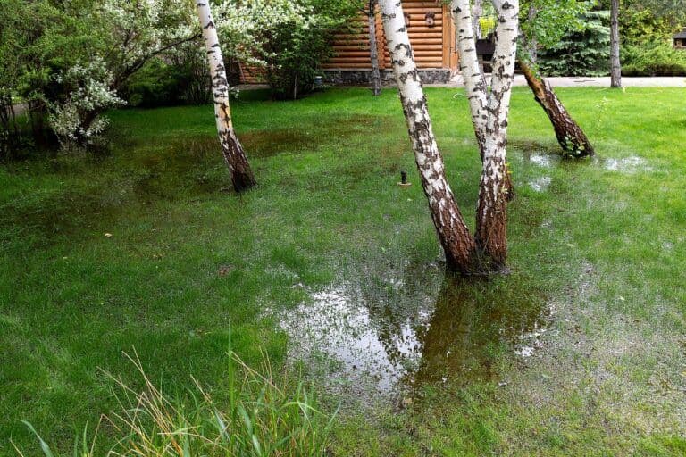 yard-drainage-annapolis-768x512.jpg