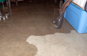 Picture of water on a basement floor.